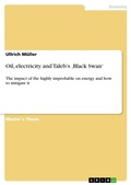 Cover: Oil, electricity and Taleb's 'Black Swan' - GRIN Verlag