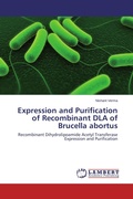 Cover: Expression and Purification of Recombinant DLA of Brucella abortus - LAP Lambert Academic Publishing