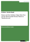 Cover: Hanno und Kai. Einfluesse Edgar Allan Poes auf die Motivtechnik Thomas Manns in "Buddenbrooks" - GRIN Verlag