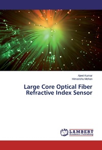 Abbildung von: Large Core Optical Fiber Refractive Index Sensor - LAP Lambert Academic Publishing