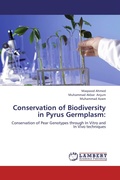 Cover: Conservation of Biodiversity in Pyrus Germplasm - LAP Lambert Academic Publishing