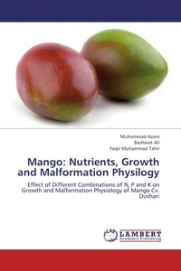 Enlarge image Cover: Mango - LAP Lambert Academic Publishing