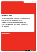 Cover: EU-F&ouml;rderungen f&uuml;r Non Governmental Organizations im Bereich der Entwicklungszusammenarbeit am Fallbeispiel von "Nuestros Peque&ntilde;os Hermanos" - GRIN Verlag