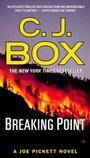 Cover: Breaking Point - G P Putnam's Sons