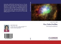 Abbildung von: Flux Tube Profiles - LAP Lambert Academic Publishing