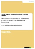 Cover: How can the knowledge on clusters help to understand the phenomenon of innovation? - GRIN Verlag
