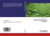 Abbildung von: Multifaceted Role of Pyramid - LAP Lambert Academic Publishing