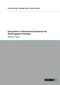 Cover: Everywhere n-Dimensional Existence for Brahmagupta Polytopes - GRIN Verlag