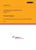 Cover: The Great Divergence - GRIN Verlag