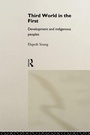 Cover: Third World in the First - Routledge