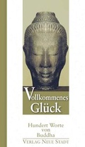 Cover: Vollkommenes Gl&uuml;ck - Neue Stadt