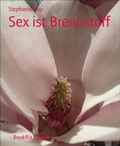 Cover: Sex ist Brennstoff - BookRix