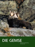 Cover: Die Gemse - Biologie und Jagd - Salm