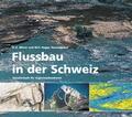 Cover: Flussbau in der Schweiz - St&auml;ubli