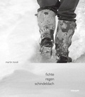 Cover: Fichte Regen Schindeldach - St&auml;mpfli Verlag AG