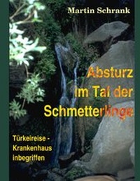 Abbildung von: Absturz im Tal der Schmetterlinge - BoD - Books on Demand
