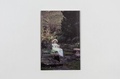 Cover: Puppenleben - Verlagsgenossenschaft St. Gallen