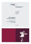 Cover: What Happens During a Blackout - BoD - Books on Demand