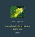 Cover: Lass dein Licht scheinen &uuml;ber mir - Agentur d. Rauhen Hauses