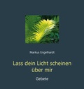 Cover: Lass dein Licht scheinen &uuml;ber mir - Agentur d. Rauhen Hauses