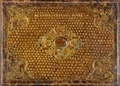 Cover: My Ladye Nevells Booke - B&auml;renreiter