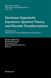 Abbildung von: Nonlinear Hyperbolic Equations, Spectral Theory, and Wavelet Transformations - Birkhäuser
