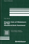Cover: Singular Sets of Minimizers for the Mumford-Shah Functional - Birkh&auml;user
