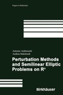 Cover: Perturbation Methods and Semilinear Elliptic Problems on R^n - Birkhäuser