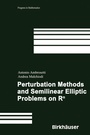 Cover: Perturbation Methods and Semilinear Elliptic Problems on R^n - Birkhäuser