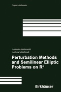 Cover: Perturbation Methods and Semilinear Elliptic Problems on R^n - Birkh&auml;user