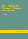 Cover: Algebraic Cycles, Sheaves, Shtukas, and Moduli - Birkhäuser