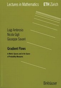 Enlarge image Cover: Gradient Flows - Birkhäuser Verlag GmbH