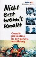 Cover: Nicht erst wenn es knallt... - wbv Media
