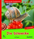 Cover: Die Schnecke - Kallmeyer