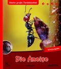 Cover: Die Ameise - Kallmeyer