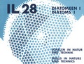 Cover: Diatomeen 1 - Schalen in Natur und Technik - Kr&auml;mer, Karl Stgt
