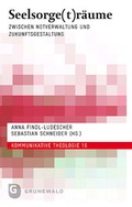Cover: Seelsorge(t)r&auml;ume - Matthias-Gr&uuml;newald