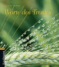Cover: Worte des Trostes - Kaufmann Verlag