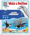 Cover: WAS IST WAS Junior Band 26. Wale und Delfine - Tessloff Verlag Ragnar Tessloff GmbH & Co. KG