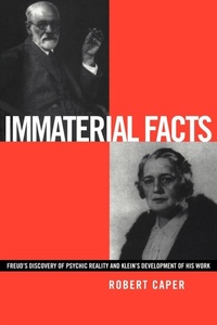 Enlarge image Cover: Immaterial Facts - Routledge