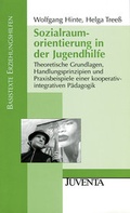 Cover: Sozialraumorientierung in der Jugendhilfe - Juventa Verlag ein Imprint der Beltz Verlagsgruppe GmbH & Co. KG