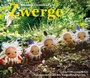 Cover: Zwerge - Freies Geistesleben