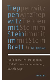 Abbildung von: Treppenwitz mit Stein im Brett - Hirzel