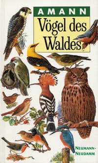 Abbildung von: Vögel des Waldes - J. Neumann-Neudamm Melsungen