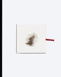 Cover: Cai Guo-Qiang - Hatje Cantz Verlag