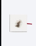 Cover: Cai Guo-Qiang - Hatje Cantz Verlag