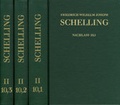 Cover: Friedrich Wilhelm Joseph Schelling: Historisch-kritische Ausgabe / Reihe II: Nachla&szlig;. Band II,10,1-3: Initia Philosophiae Universae. Erlanger Vorlesungen WS 1820/21 - frommann-holzboog