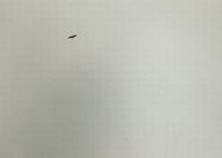 Enlarge image Cover: Felix Gonzalez-Torres - Hatje Cantz Verlag