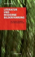 Cover: Literatur und moderne Bilderfahrung - Brill Deutschland