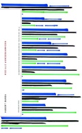 Cover: Mediale Wunderkammern - Brill Deutschland